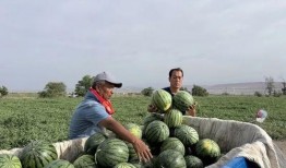 国一vn吃瓜,揭秘娱乐圈背后的惊人真相