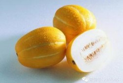 孕初期可以吃茄瓜,茄瓜助力母婴健康