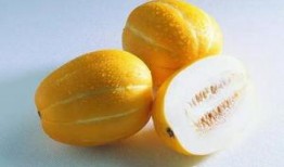 孕初期可以吃茄瓜,茄瓜助力母婴健康