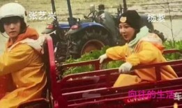 大家理智吃瓜不信谣