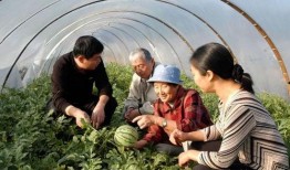 吃瓜育人,揭秘娱乐圈背后的真实故事