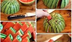 圆滚滚直播吃瓜,趣味横生揭秘娱乐圈幕后故事