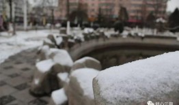 吃瓜的雪落,一场别开生面的吃瓜盛宴