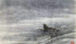 吃瓜系统江雪全集,吃瓜系统中的情感纠葛与成长历程