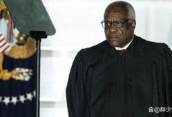 法官吃大瓜,揭秘法庭背后的趣味故事