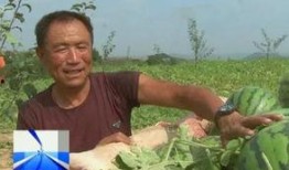 吃瓜帮助事件,一场网络事件的正能量传递