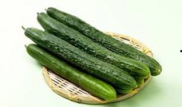 吃恋爱瓜的主旨,跟随恋爱瓜，探寻爱情甜蜜瞬间