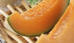 吃哈密瓜可以吃南瓜吗,同食相宜的夏日美味搭配