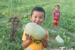 小孩打架吃瓜群众,一场校园“吃瓜”事件的反思