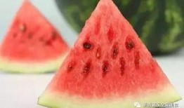 吃的瓜种瓜下一句,收获幸福生活