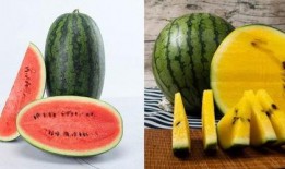 gyl吃瓜,揭秘娱乐圈背后的那些事儿