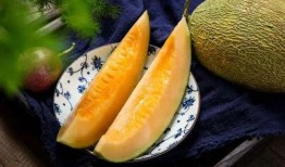 吃哈密瓜可以吃南瓜吗,同食相宜的夏日美味搭配