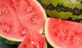 吃西瓜声控脆瓜,吃西瓜新潮流，脆响声中的夏日美味