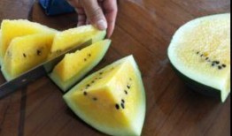 吃瓜吊图,揭秘娱乐圈幕后真相