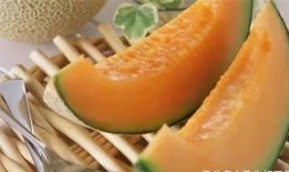 哈密瓜吃美食,甜蜜滋味，尽享舌尖盛宴