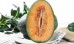 吃哈密瓜可以吃南瓜吗,同食相宜的夏日美味搭配