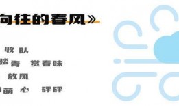 吃瓜用什么wpp,揭秘如何用WPP轻松吃瓜