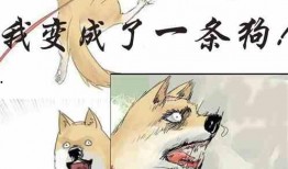 正经吃瓜小说,瓜田里的秘密与权谋