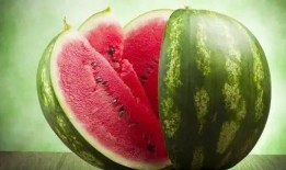 吃瓜研究,校园里的“瓜田”奇观