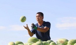 吃瓜集和地,揭秘娱乐圈背后的秘密与土地变迁