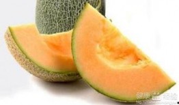 吃蜜瓜过敏了,揭秘甜蜜背后的风险