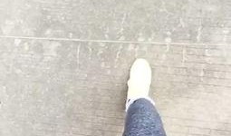 鬼畜吃瓜视频大全