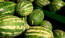 丰县最新吃瓜事件