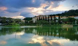 福建农林大学吃瓜,揭秘校园里的“吃瓜”文化现象