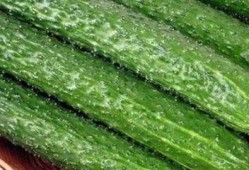 生活中怎么吃瓜,揭秘生活中的吃瓜智慧