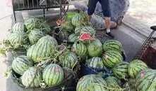 丰县最新吃瓜事件