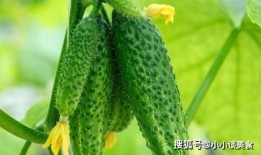 吃瓜吃出生理极端