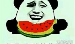 要吃啥吃瓜群众,揭秘“要吃啥”背后的美食奥秘