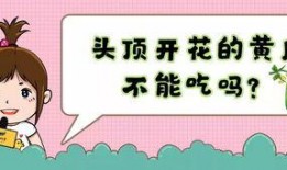吃瓜就能够暴富