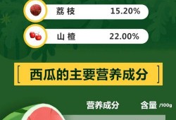 吃瓜娱乐指南,吃瓜指南，轻松解锁明星幕后故事