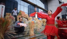 朝阳吃瓜大妈,揭秘社区生活百态