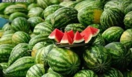 斤斤吃瓜,揭秘娱乐圈的甜蜜与苦涩