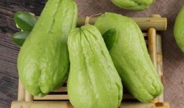 吃佛手瓜反酸吗