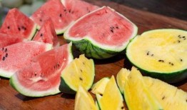 手术可以吃瓜吗,饮食禁忌与合理饮食指南