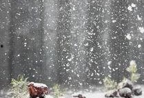 吃瓜系统江雪全集,吃瓜系统中的情感纠葛与成长历程