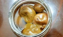 吃瓜饶平,揭秘饶平美食背后的故事与风情