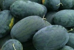 斗鱼亭宝吃瓜,揭秘网络红人的幕后故事