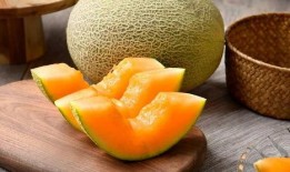 广西吃哈密瓜中毒,广西哈密瓜中毒事件调查与反思