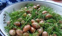 夏季吃瓜肠胃疼,吃瓜需谨慎，预防肠胃疼痛攻略