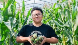 新农业吃瓜技巧,解锁吃瓜新技巧，尽享田园美味