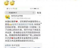 冯教授吃瓜,揭秘娱乐圈幕后真相