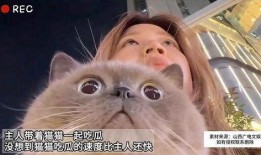猫咪吃女孩的瓜