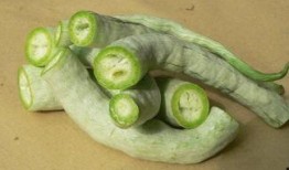 孕妇吃蛇瓜吗,孕妇可否食用蛇瓜？