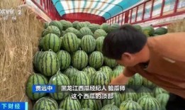 国际吃瓜网,揭秘全球热点事件背后的真相与笑料