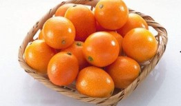 大胖橘吃瓜