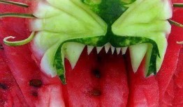 圆滚滚直播吃瓜,趣味横生揭秘娱乐圈幕后故事